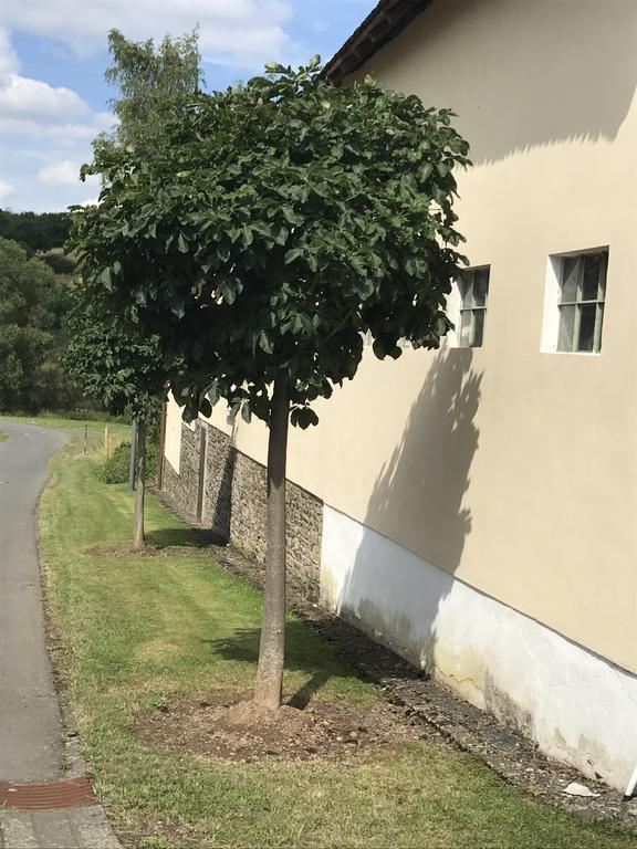 Ferienwohnung Schloessershof Borler Zewnętrze zdjęcie